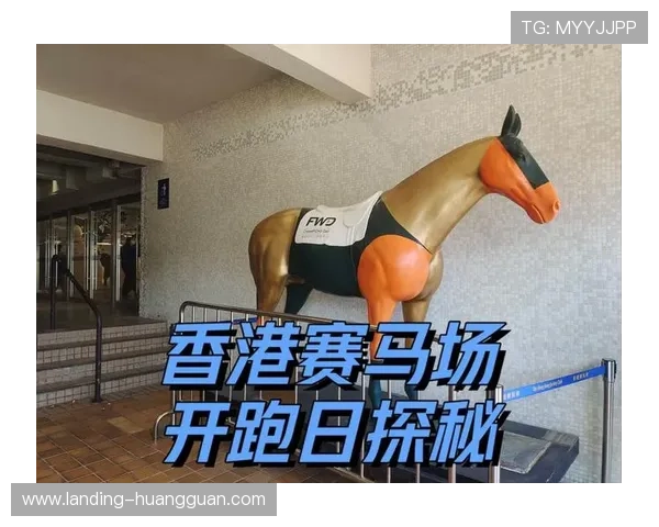 全面解析马会投注网娱乐的安全保障措施确保玩家资金与信息的双重安全